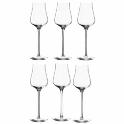 Leonardo Grappaglas Brunelli 210 Ml, 6 Stück, Transparent - Schnaps- & Likör Gläser