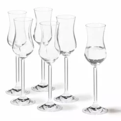 Leonardo Grappaglas Daily 100 Ml, 6 Stück, Transparent - Schnaps- & Likör Gläser
