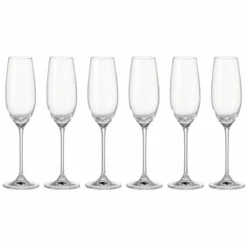 Leonardo Sektglas Barcelona 200 Ml, 6 Stück, Transparent - Sektgläser